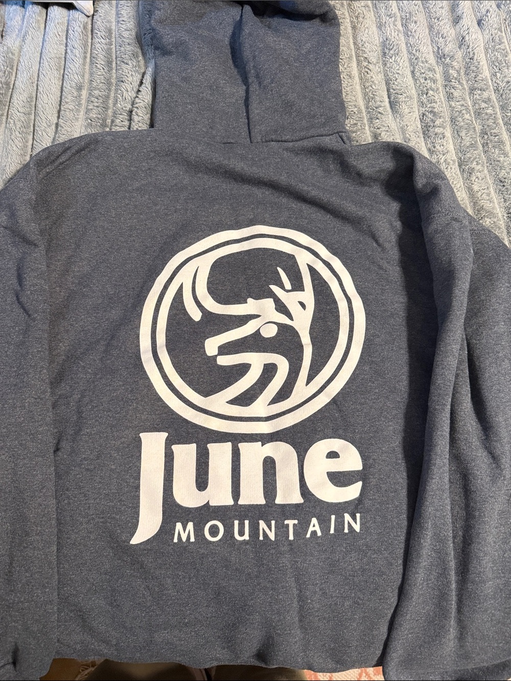 Women's Navy Graphic Hoodie